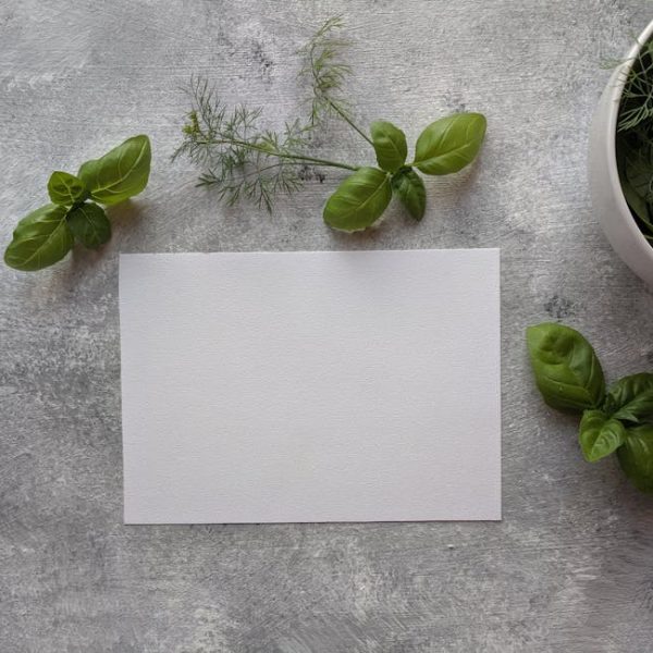 10 Surprisingly Simple Methods to Grow Basil at Home