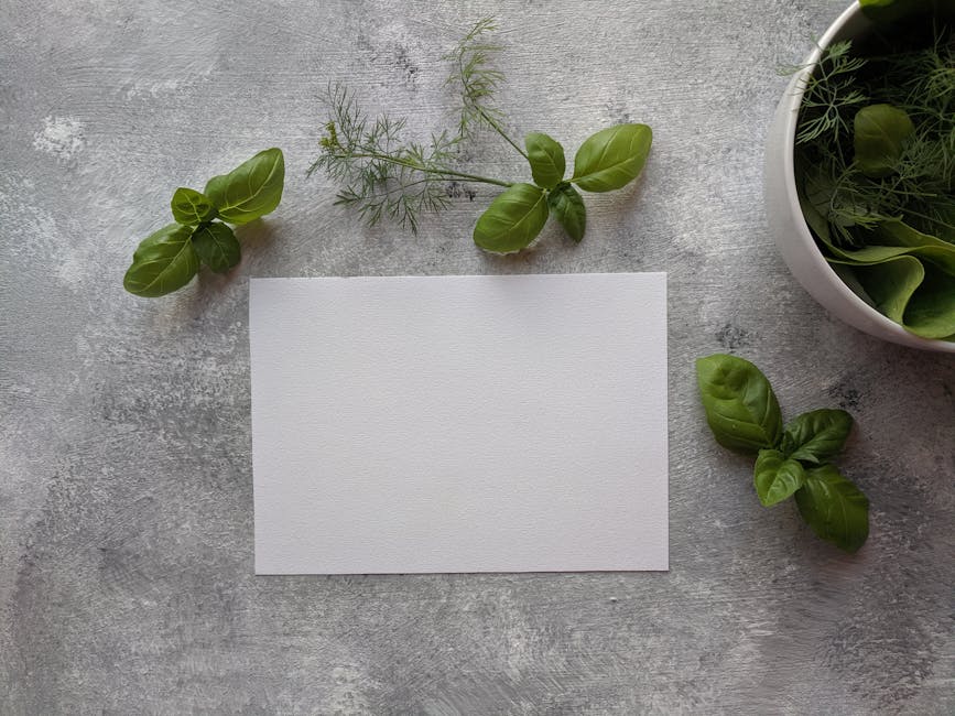 10 Surprisingly Simple Methods to Grow Basil at Home