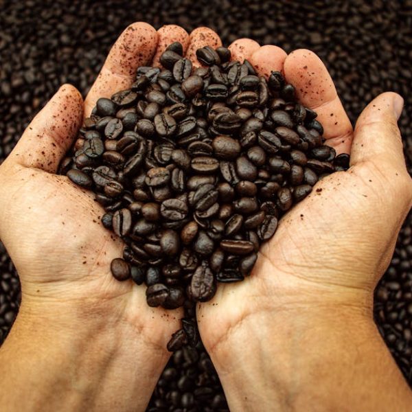 11 Creative Ways to Enhance Your Garden with Used Coffee Grounds