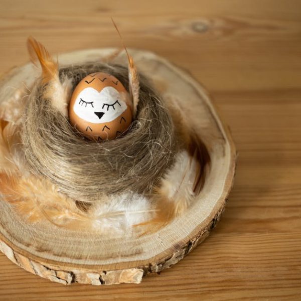 11 Safe DIY Wasp Killer Tips & Recipes for Your Home