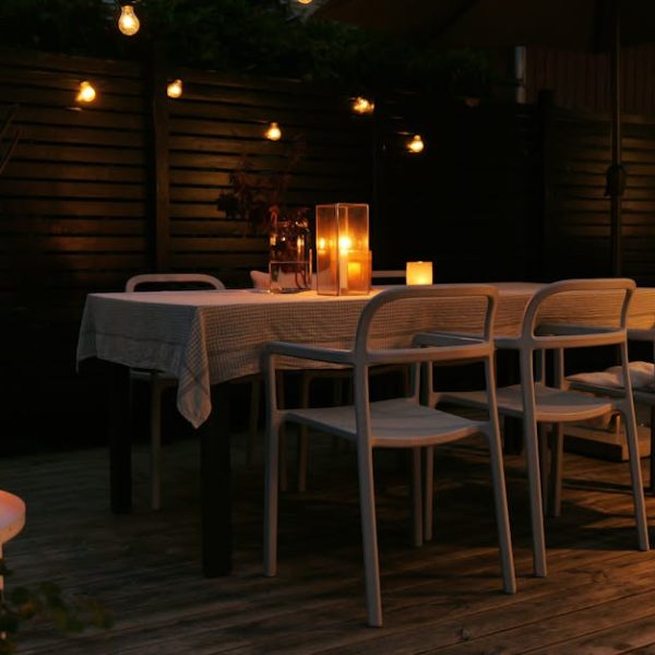 14 Easy Potted Plants to Brighten Up Your Home Decor