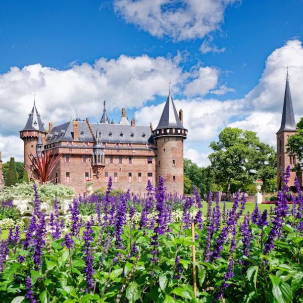 14 Kitchen-Ready Herbs: Easy to Grow and Use Daily