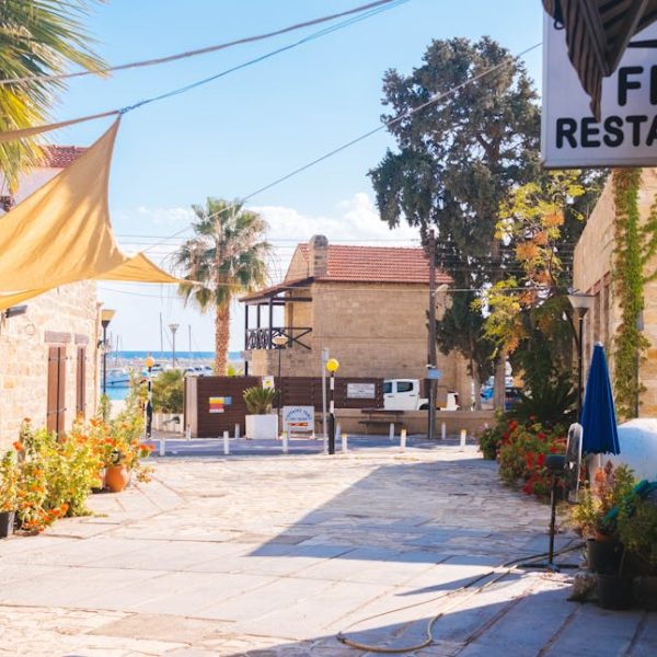 14 Resilient Shrubs Ideal for Thriving Coastal Gardens