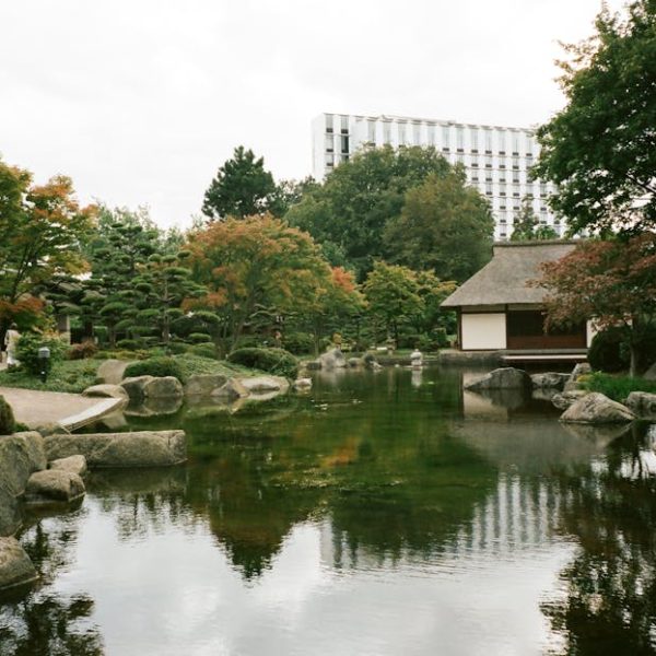 14 Stunning Perennials for Perfect Rock Gardens