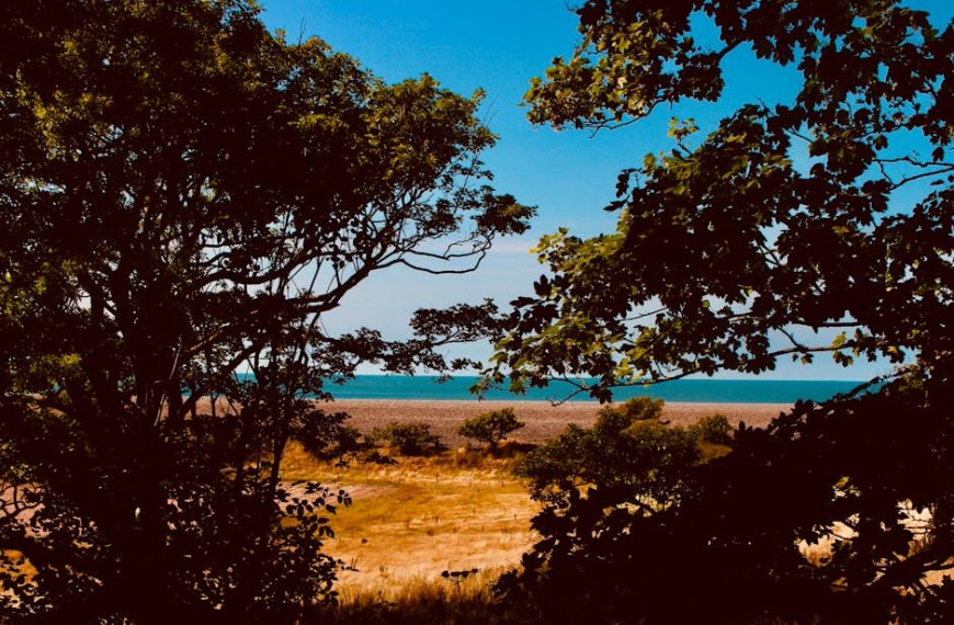 14 Top Low-Growing Evergreen Shrubs for Stunning Border Designs