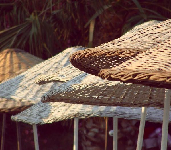 17 Charming Shrubs to Beautify Your Shade Garden