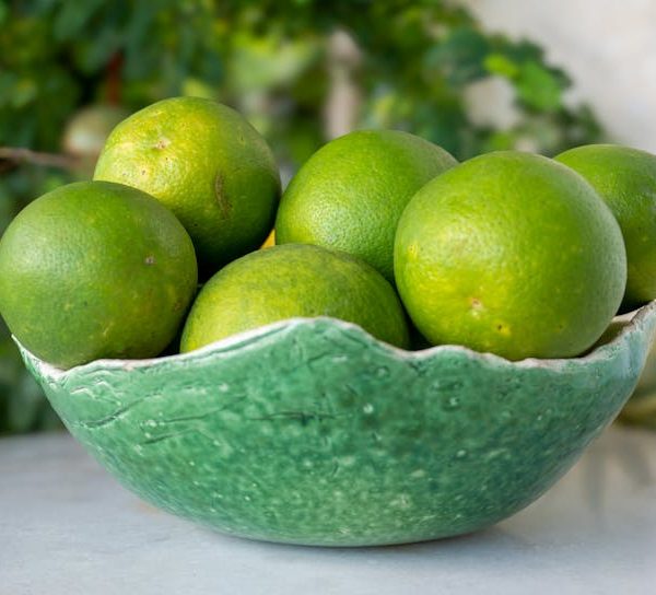 17+ Incredible Plants to Swiftly Repel Mosquitoes Naturally