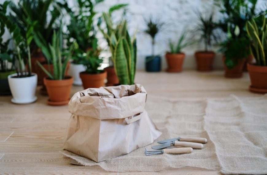 17+ Low-Light Houseplants That Are Easy to Care For