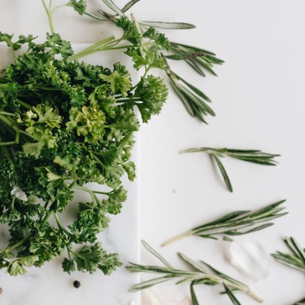 17 Perennial Herbs to Enhance Your Edible Garden Landscape