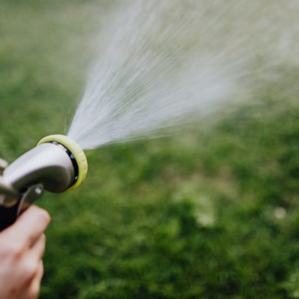 6 Quick & Easy Ways to Get Rid of Crabgrass Permanently