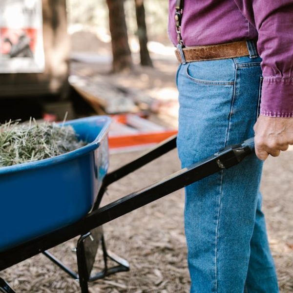 7 Effective Strategies to Banish Moles from Your Lawn