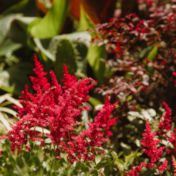7 Gorgeous Annuals That Keep Slugs at Bay: Your Garden’s Best Defense!