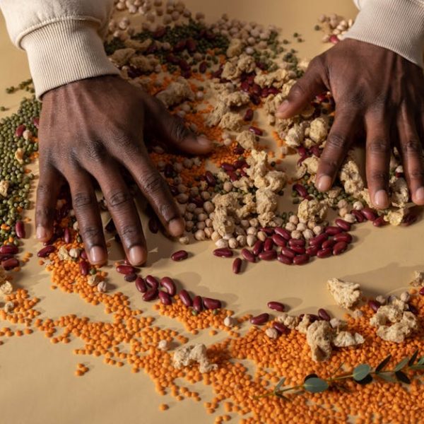 Awesome Tricks for Successfully Growing and Planting Pinto Beans