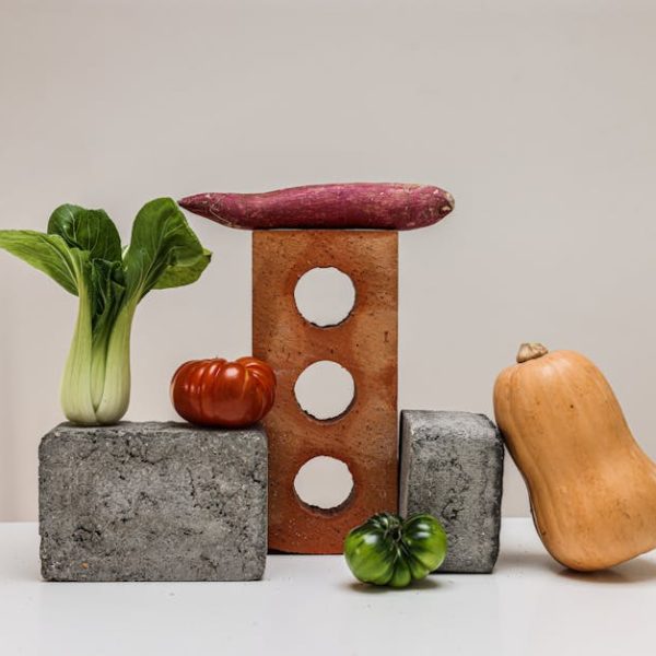 Awesome Tricks to Grow Thriving Squash Plants Successfully