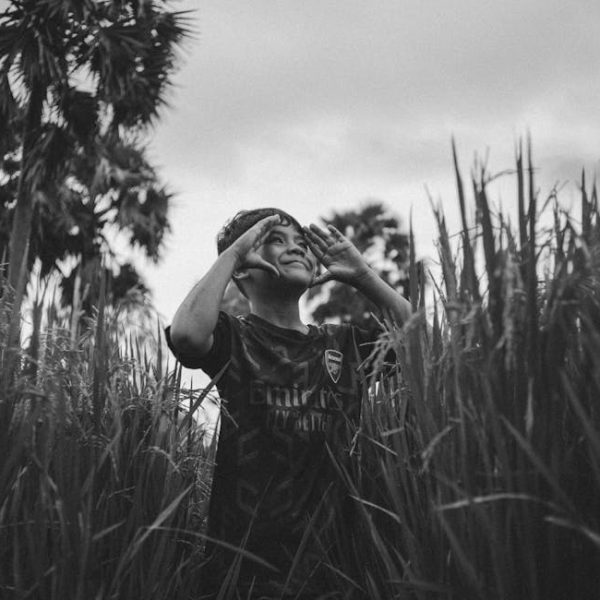 Best Time to Fertilize Raspberry Bushes for Optimal Growth