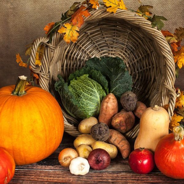 Can You Compost Pumpkins? A Guide to Composting Leftover Pumpkins
