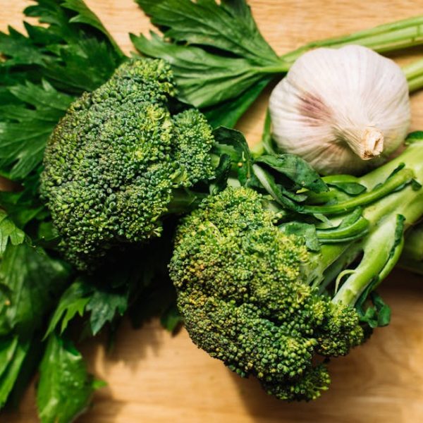 Celery Planting Guide: Best Times to Plant for Maximum Yield