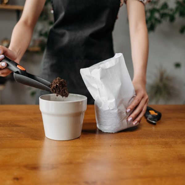 Container Grown Gourds: Tips for Successful Pot Planting