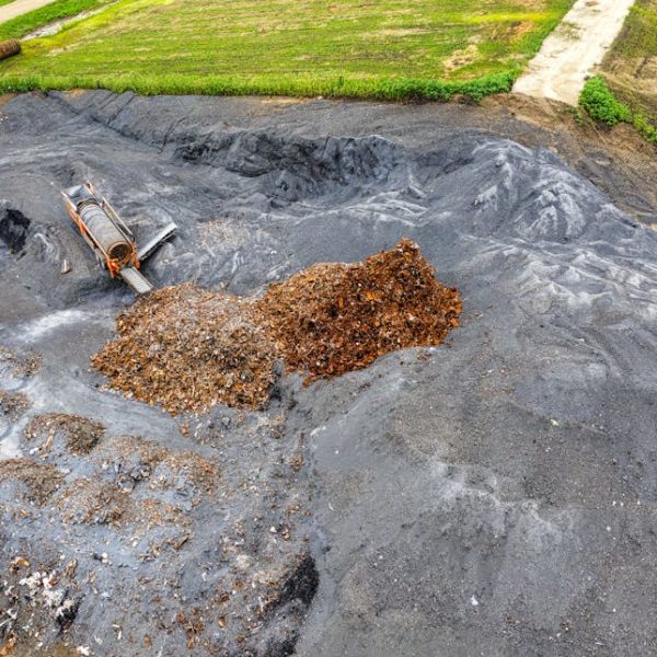 Creative Composting: Turn Grass Clippings into Rich Garden Soil