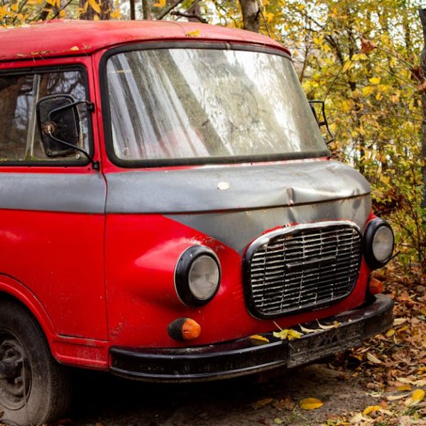 Discover Common Arugula Varieties: A Comprehensive Guide