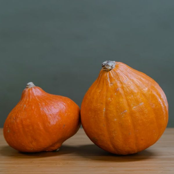 DIY Terrific Squash Plant Food: An Effective Fertilizer Guide