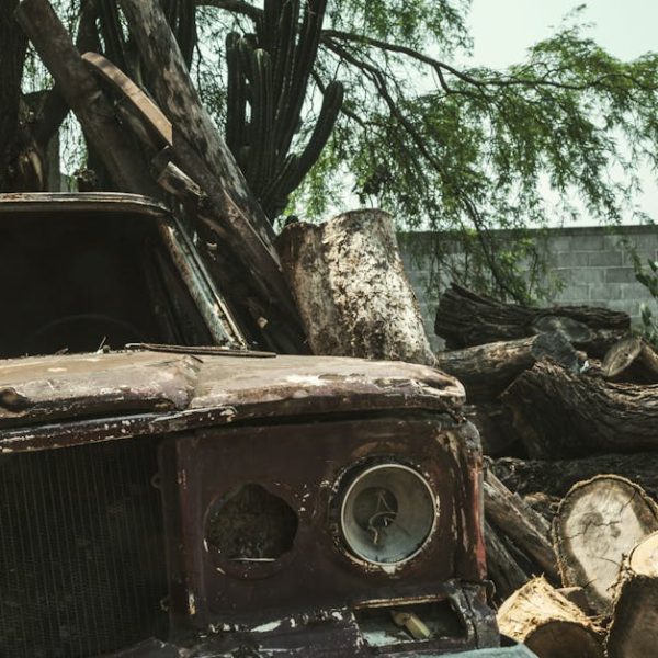 Do Termites Like Mulch? Essential Insights for Homeowners