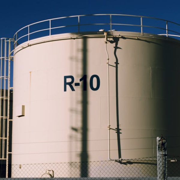 Effective Mosquito Control with Neem Oil: A Complete Guide