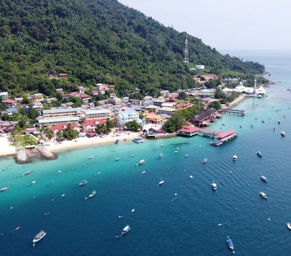 Effective Neem Oil Solutions to Eliminate Powdery Mildew