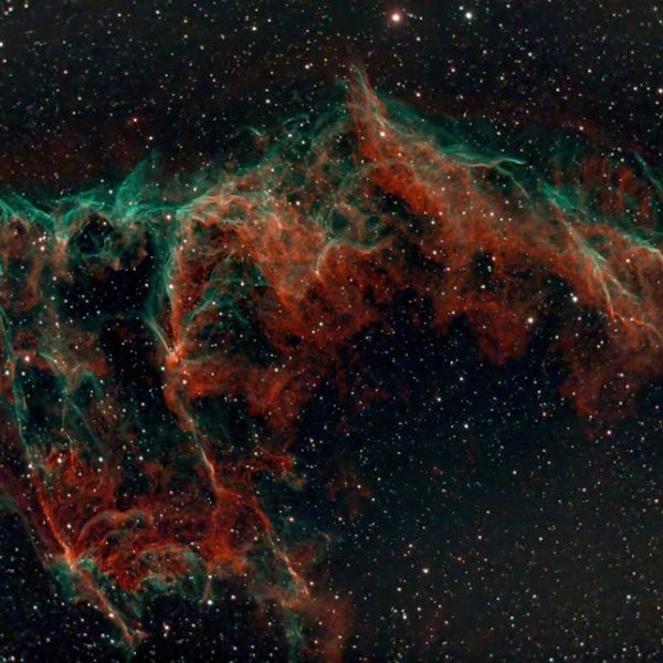 Effective Tips: Using Hydrogen Peroxide to Boost Your Plant’s Health