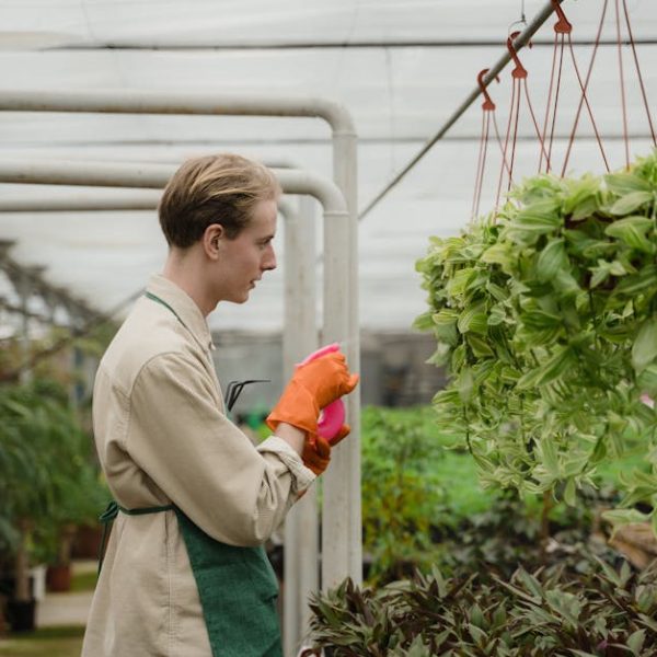 Effortless Blossoms: Easy Low Maintenance Flowers for Beginners