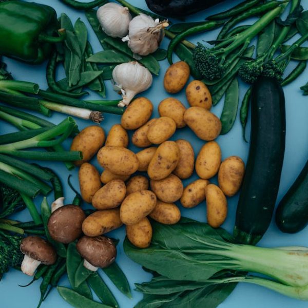 Effortlessly Grow Onions at Home by Planting Onion Scraps