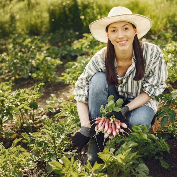 Essential Tips and Tricks for Successful Okra Growing at Home