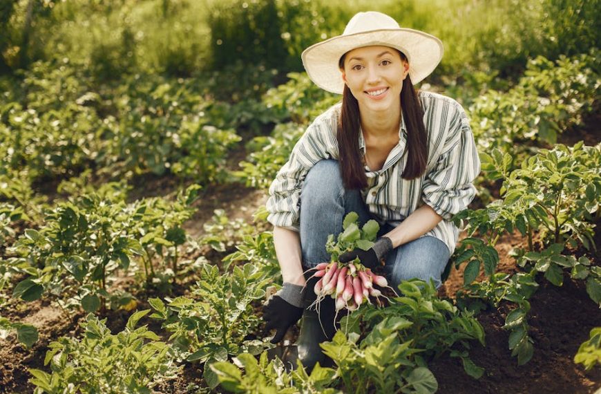 Essential Tips and Tricks for Successful Okra Growing at Home