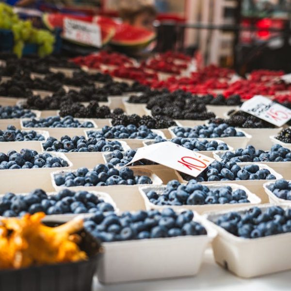 Exploring Varieties of Blueberry Bushes: Amazing Types Explained