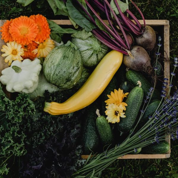 Feed Your Cucumbers Eggshells: DIY Fertilizer Guide