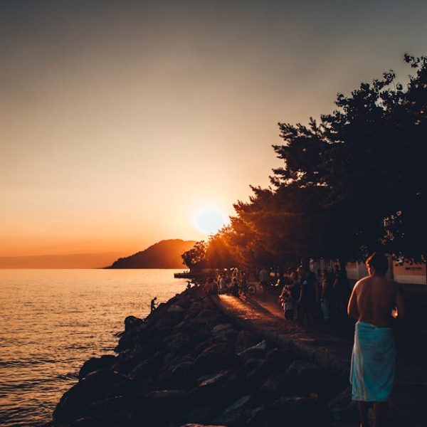 Incredible Tips to Grow Swiss Chard in Potted Containers