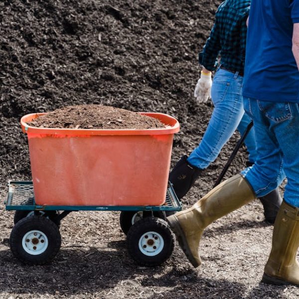 Master Savvy Composting: Top Tips for Perfect Soil Blends