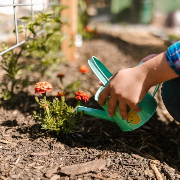 Mulching vs Composting: Key Differences Explained