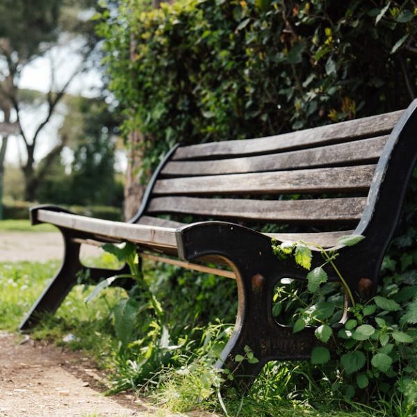 Perfect Hedge Plants for Ultimate Privacy and Stunning Gardens