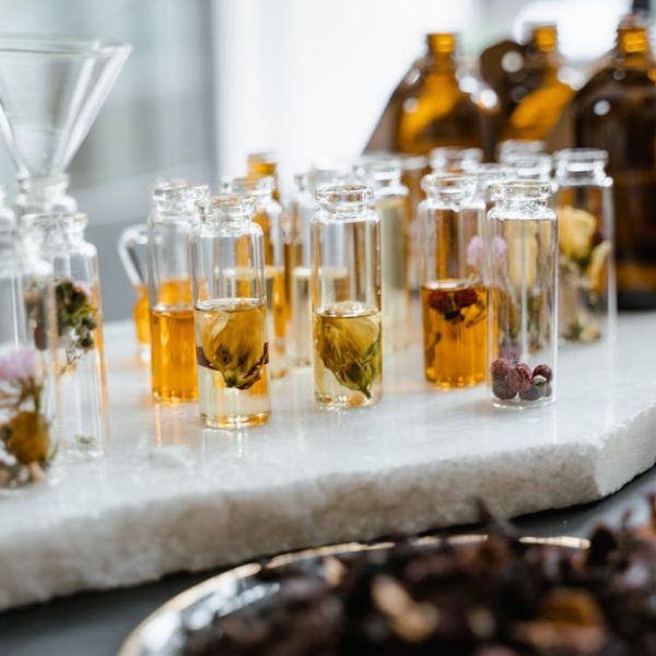 Safe Neem Oil Use on Vegetables: Effective Tips and Advice