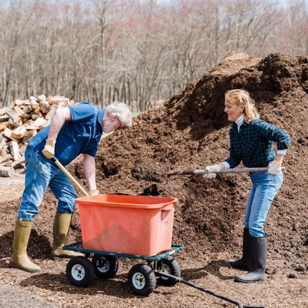 Smart Composting: Techniques for Beginners to Experts