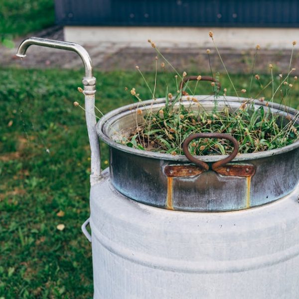 Smart Lawn Care: Enhance Your Lawn with Diatomaceous Earth