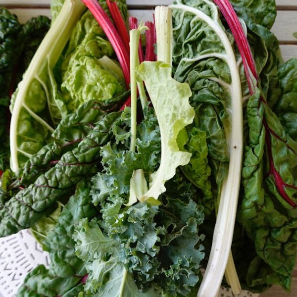 Smart Tips for Planting Swiss Chard Throughout the Year