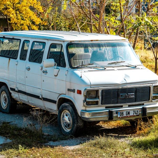 Solving Avocado Problem: Understanding Common Tree Diseases