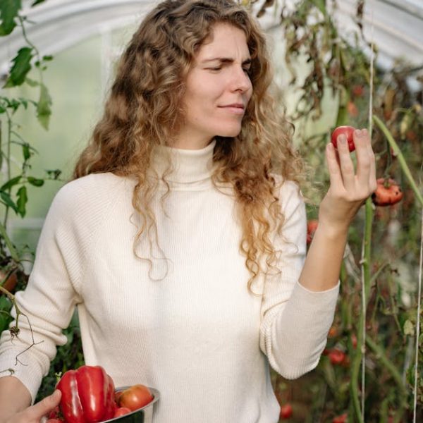 The 14 Easiest Vegetables to Grow in Your Backyard: Simple Guide