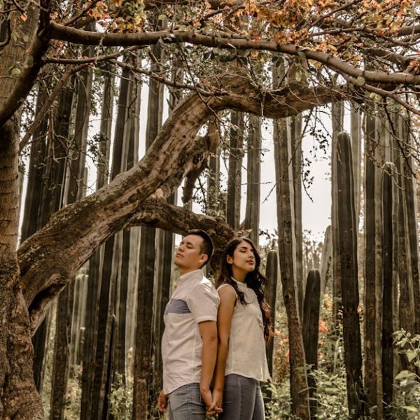 The Ultimate Guide to Harvesting Mulberries: Tips for Perfect Picking