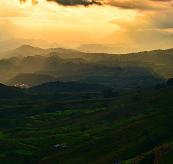 Top 5 Proven Techniques to Remove Moles from Your Lawn