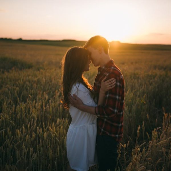 Top Corn Companions: Best Crops to Plant Alongside Corn