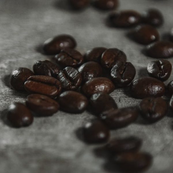 Top Garden Plants That Thrive with Coffee Grounds as Fertilizer