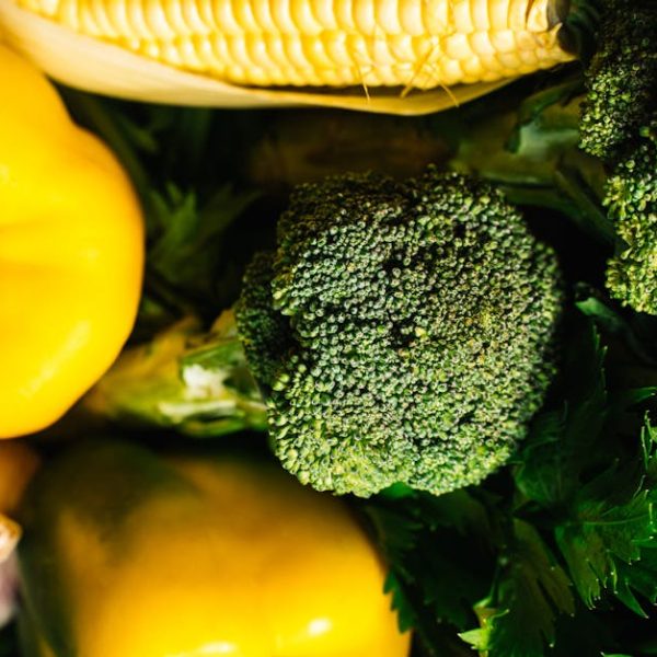 Top Herbs for Winter: Cold-Loving Culinary Delights for Your Garden